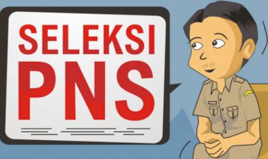 Tanjabbar Bakal Buka 251 Formasi CPNS dan P3K