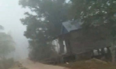 Lapor Ibu Bupati Kabut Asap Kian Tebal di Kumpeh, Jarak Pandang Berkurang