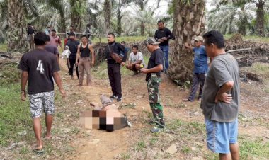 Hamili Anak Kandung, Seorang Ayah di Bungo Tewas Ditangan Polisi