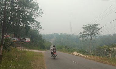 Kabut Asap Mulai Menyelimuti Kampung Halaman Gubernur Jambi