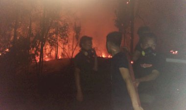30 Hektar Lahan Warga Sungai Binjai Terbakar, Damkar Berjibaku Padamkan Api