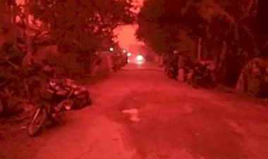 Jambi Diselimuti Kabut Asap, Begini Cara Menghindari Bahaya Polusi Udara