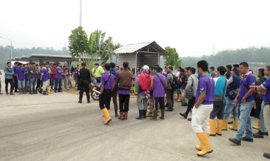 Ratusan Karyawan PT Star Rubber Bungo Mogok Kerja!