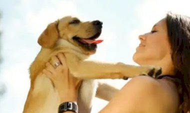 Frustasi Berkencan dengan Pria, Wanita Ini Ingin Menikah Dengan Anjing Peliharaan Serta Ajak Berhubungan Intim