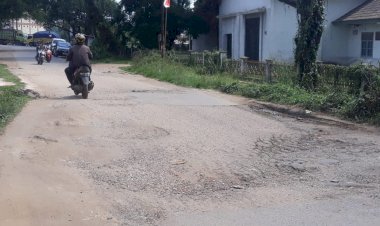 Warga Sebut Selama Ini Hanya Tambal Sulam, Jalan Sungaiduren Rusak dan Berlubang