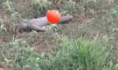 BREAKING NEWS!! Heboh Penemuan Mayat Tanpa Busana di Kumpeh Ulu Muarojambi