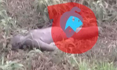 Polisi Ungkap Identitas Mayat di Kotakarang Kumpeh Ulu