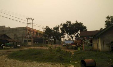 Langit Muarabungo Menguning Akibat Kabut Asap, Warga Masih Santai Tak Gunakan Masker