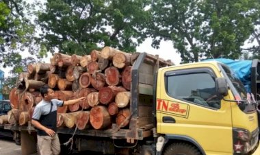 Polri tangkap Apeng, Bigbos Pembalakan Liar di Jambi