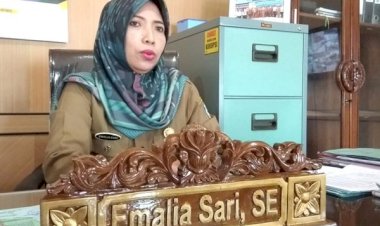 Emalia: Lelang Kendaraan Dinas Sarolangun Sumbangkan PAD Rp694 Juta, Lima Mobnas Tidak Laku