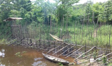 Ambatan, Kearifan Lokal Warga Pudak dalam Mencari Ikan