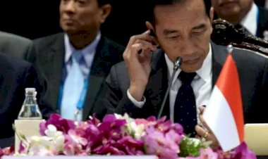 Jokowi Berikan Pandangan untuk Pemulihan Situasi di Rakhine State
