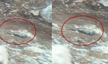 15 Hari Pencarian Warga Bungo Hilang di Gunung Dempo, Tim Wanadri Temukan Mayat Dekat Kawah Gunung