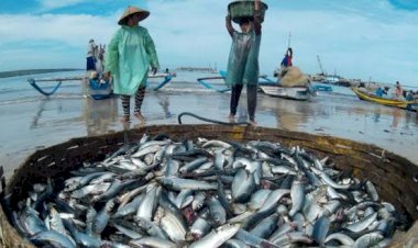 Akibat Karhutla, Produksi Ikan di Tanjab Barat Menurun