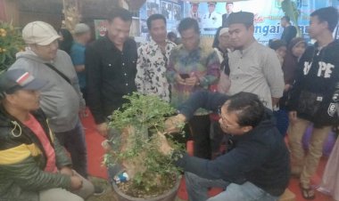 Komunitas Bonsai Kota Sakti Ramaikan Pekan Harmoni & Sungai Penuh Expo