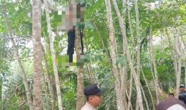 Pamit ke Keluarga, Parjiman Ditemukan Tewas Tergantung di Pohon Karet