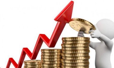 Nilai Investasi di Muarojambi Terjun Bebas, Sekda Sebut Ini Penyebabnya