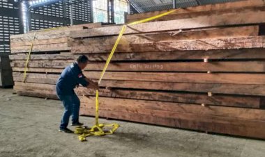 Begini Aksi KLHK Amankan 17 Kayu Merbau Illegal dari Pulau Seram