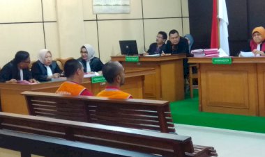 Selundupkan 154.774 Benih Lobster, Hakim PN Jambi Vonis 7 Bulan Dua Terdakwa