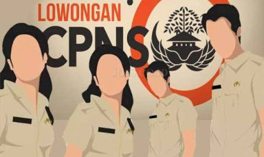 BKN Perpanjang Waktu Pendaftaran CPNS 2019 Lima Hari Kedepan