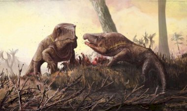 Ini Dia Wujud Monster Purba Mirip Komodo