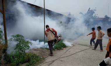 Ancaman DBD "Hantui" Masyarakat Tanjab Barat