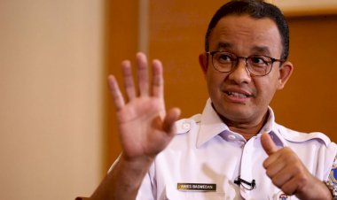 Anies Bilang Pentingnya Narasi, Irma Nasdem: Makanya Akademisi Tak Cocok Jadi Presiden