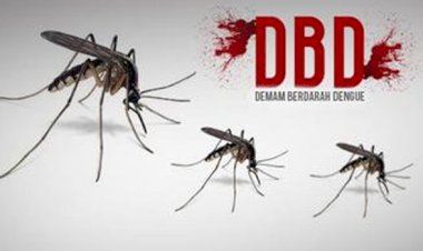 Lapor Pak Wako! Jumlah Penderita DBD di Jambi Capai 634 Orang, 10 Orang Meninggal Dunia