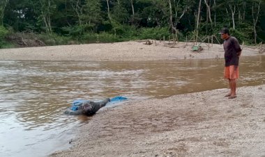 BREAKING NEWS! Warga Bungo Jambi Heboh Temukan Mayat Membusuk di Sungai
