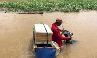 Diguyur Hujan Lebat, 2 Desa di Perbatasan Muarojambi-Tanjabtim Terendam Banjir