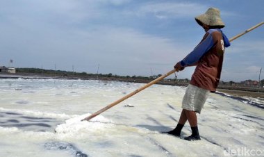 Bos Garam Curhat Harga Garam Indonesia Anjlok gara-gara Impor