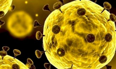 Satu Orang Suspect Virus Corona, Kini Diisolasi di RSPI