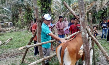 Disnakkan Sarolangun Prioritaskan Kesehatan Hewan, Begini Langkahnya