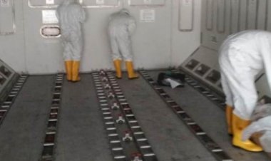 Usai Angkut WNI dari Wuhan, Batik Air Sterilkan Pesawat Air Bus 330-300 CEO