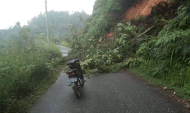 Diguyur Hujan Lebat, Akses Jalan Sarolangun- Batangasai Lumpuh Total