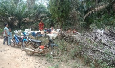 Solidaritas SAD Batanghari Menuntut Presiden Jokowi Kembalikan 3.550 Hektare Lahan SAD