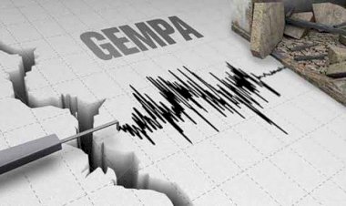 Gempa 6,1 Magnitudo Goyang Melonguane Sulut, Begini Kata BMKG