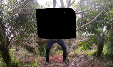 Geger, Warga Muntialo Tanjab Barat Temukan Mayat Membusuk Tergantung di Pohon