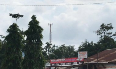 Dua Kecamatan di Muarojambi Ini Masih Belum Tersentuh Sinyal