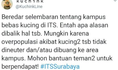 Viral Soal Edaran 26 Februari Bebas Kucing di ITS, Begini Tanggapan Pro Kontra Netizen