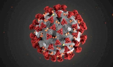 Jumlah Pasien Virus Corona di Inggris Bertambah 45 Orang
