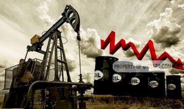 Harga Minyak Dunia Galau, Anjlok Hingga 30 Persen