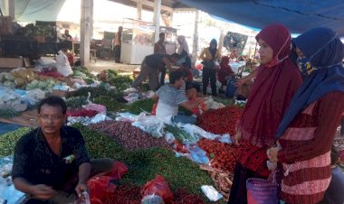 Di Tengah Wabah Corona, Harga Cabai di Muarojambi Normal, Tapi Ini Keluhan Pedagang