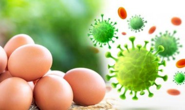 HOAKS! Bayi Baru Lahir Berbicara, Ajak Makan Telur Rebus untuk Cegah Virus Corona