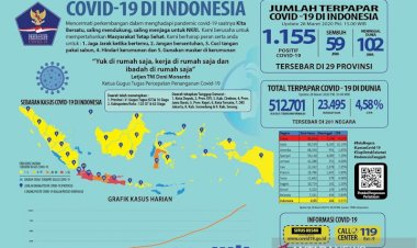 Menggugat Peran Parpol di Tengah Pandemi COVID-19