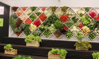 Anak Milenial Jangan Malu Bertani untuk Kembangkan Hasil Pangan Khas Indonesia