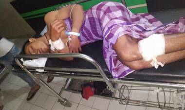 WARSI Minta Pemerintah Bertanggung Jawab Atas Penembakan Warga SAD