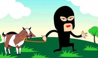 Kembali Terjadi Pencurian Ternak dengan Modus Meracuni