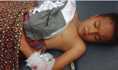 Bocah Kelas 6 SD Ditangkap Buaya di Sungai Teluk Dawan