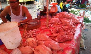 Harga Daging Ayam Turun di Jambi, Tapi Masih Sepi Pembeli